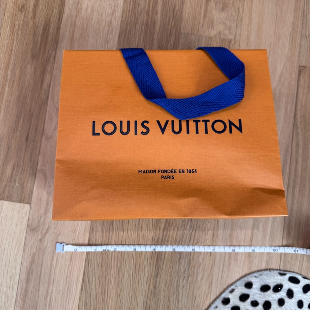 Louis Vuitton Gift Bag